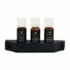 Emendo Emendo Set Sauna Geuren 3 X 10 Ml Inclusief Houten Rekje