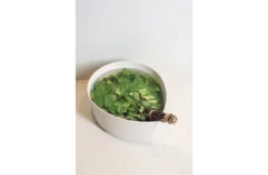 Rento Rento Pisara Wasbak 8,5 L Schors 9 Rento Rento Pisara Wasbak 8,5 L Schors -Zwembadverzorging Verkoopwinkel rento rento pisara wasbak 85 l schors 4